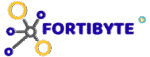fortibyte